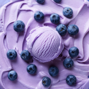Blaubeer Joghurt Eis selbst machen